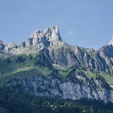 Apartment Flumserberg 4b *